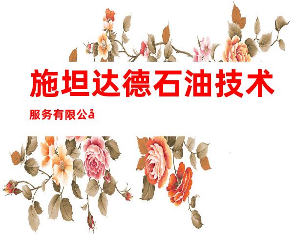 施坦达德石油技术服务有限公司